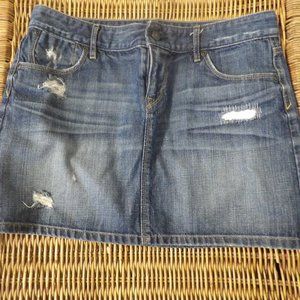 Ann Taylor Loft Denim Mini Skirt